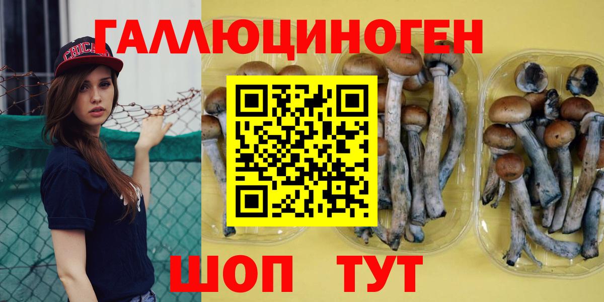 Галлюциногенные грибы ЛСД Шали