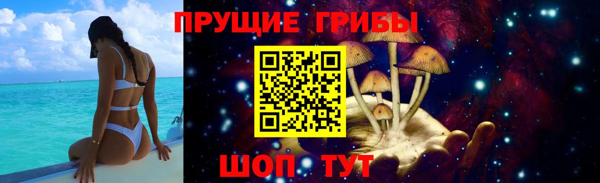 купить закладку  Галлюциногенные грибы Psilocybine cubensis  Вход с VPN  Шали 