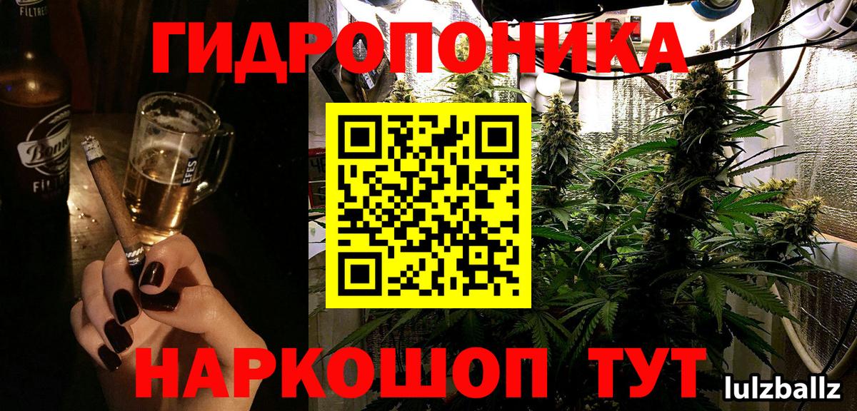 Конопля семена  Каннабис гибрид  Шали  Канабис OG Kush  Вход с VPN  МАРИХУАНА ГИДРОПОН 